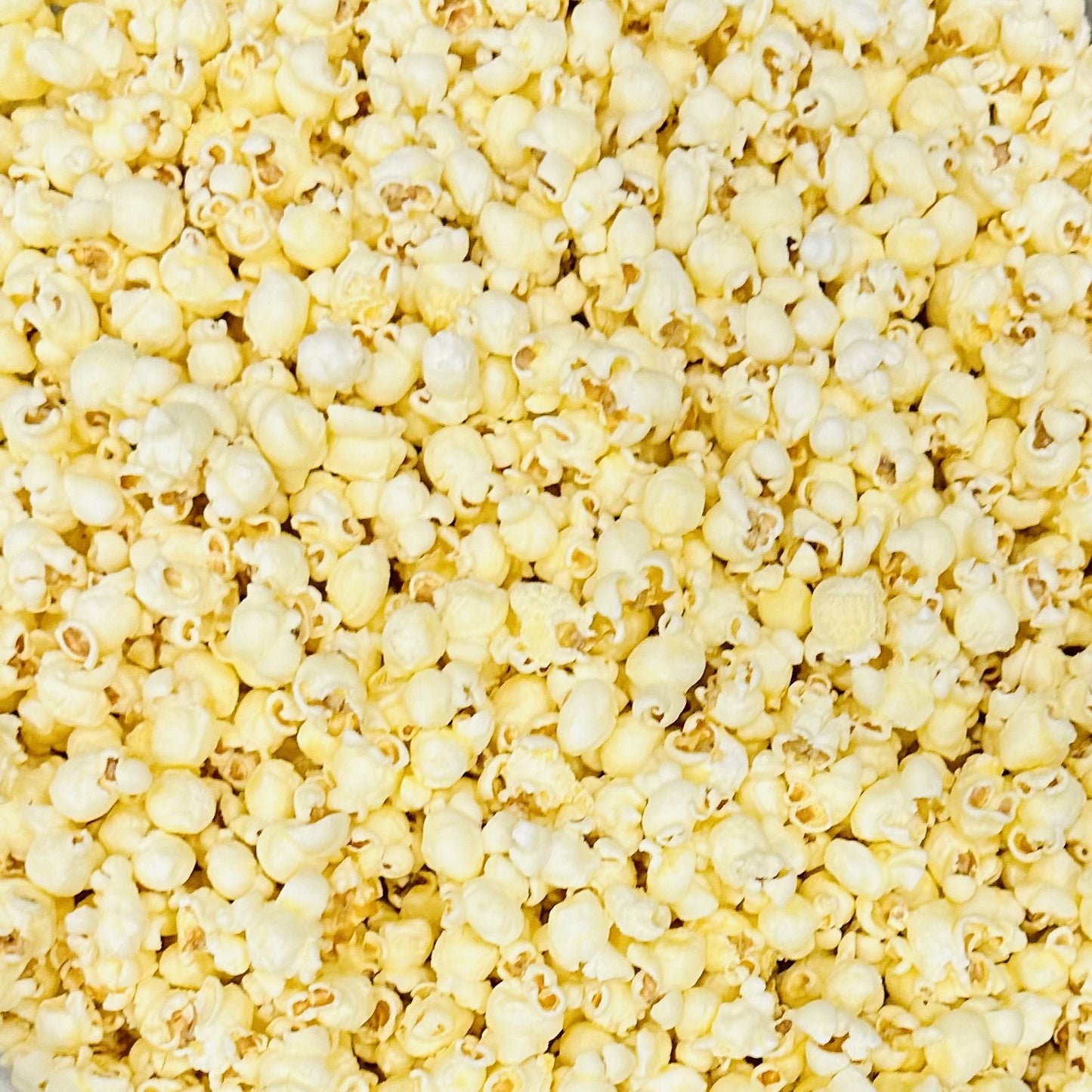 Gourmet White Cheddar Popcorn